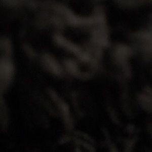 Meet your Posher, Adrian